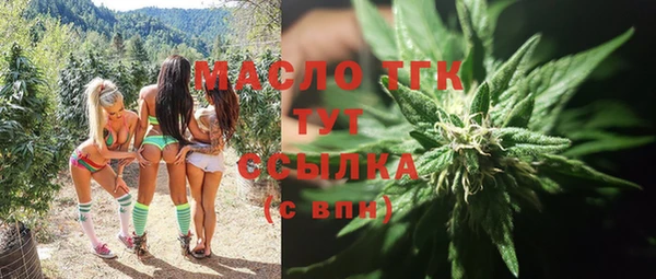 гидра Зеленодольск