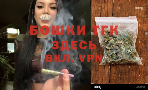 гидра Зеленодольск