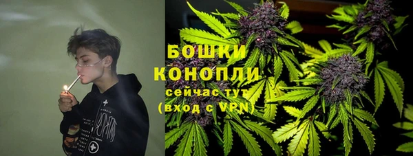 гидра Зеленодольск
