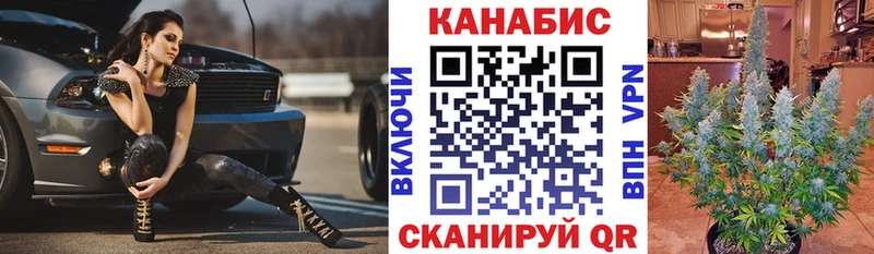 Бошки Шишки тримм Багратионовск